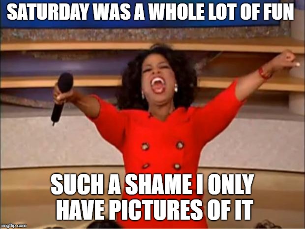 Oprah You Get A | SATURDAY WAS A WHOLE LOT OF FUN; SUCH A SHAME I ONLY HAVE PICTURES OF IT | image tagged in memes,oprah you get a | made w/ Imgflip meme maker