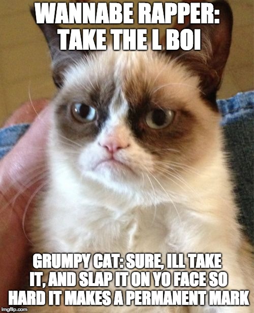 Grumpy Cat Meme | WANNABE RAPPER: TAKE THE L BOI; GRUMPY CAT: SURE, ILL TAKE IT, AND SLAP IT ON YO FACE SO HARD IT MAKES A PERMANENT MARK | image tagged in memes,grumpy cat | made w/ Imgflip meme maker