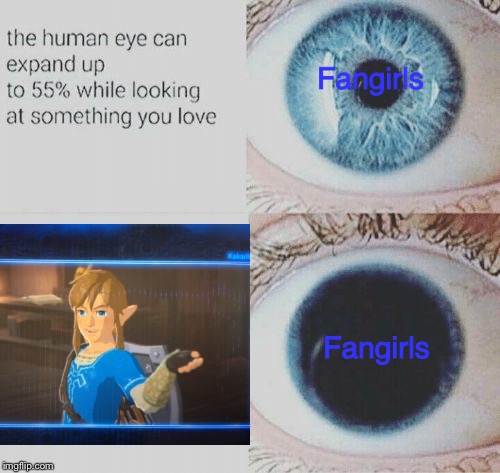 ‘And the peoples hearts melted away as they saw him smile’ | Fangirls; Fangirls | image tagged in the legend of zelda,the legend of zelda breath of the wild,zelda,legend of zelda | made w/ Imgflip meme maker