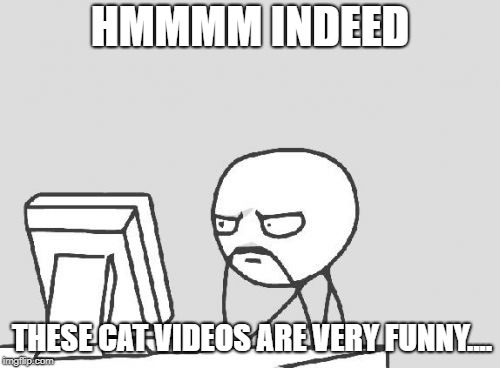 Computer Guy Meme | HMMMM INDEED; THESE CAT VIDEOS ARE VERY FUNNY.... | image tagged in memes,computer guy | made w/ Imgflip meme maker