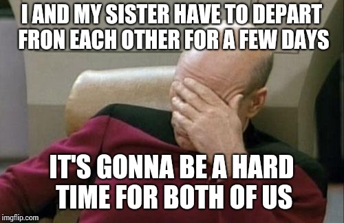 I am so lonely | I AND MY SISTER HAVE TO DEPART FRON EACH OTHER FOR A FEW DAYS; IT'S GONNA BE A HARD TIME FOR BOTH OF US | image tagged in memes,captain picard facepalm,sad,alone,sister | made w/ Imgflip meme maker