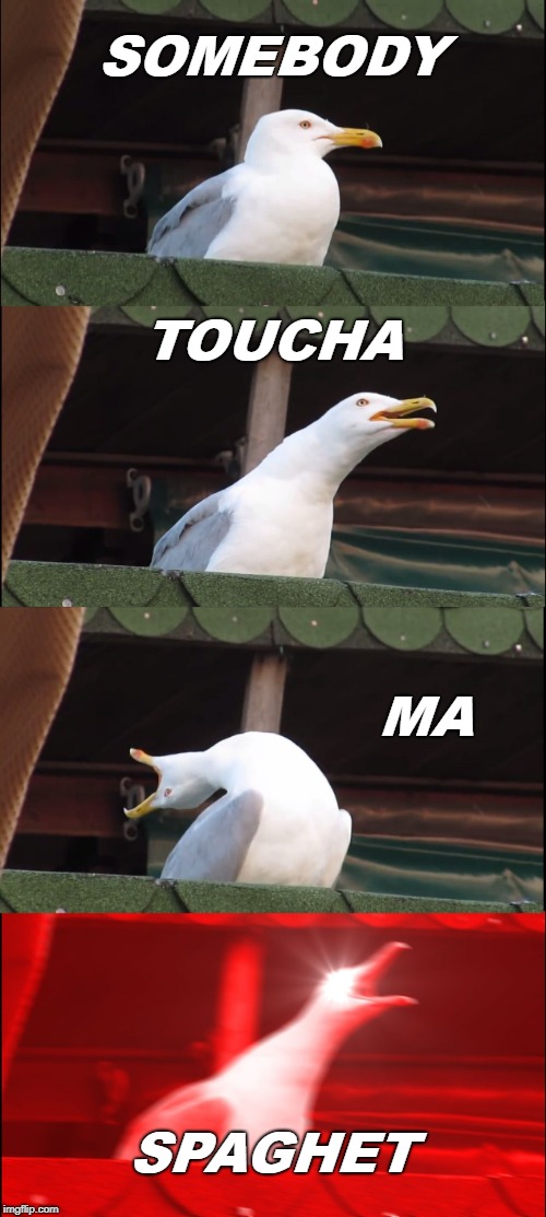 Inhaling Seagull | SOMEBODY; TOUCHA; MA; SPAGHET | image tagged in memes,inhaling seagull | made w/ Imgflip meme maker