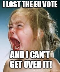 Crying Baby | I LOST THE EU VOTE; AND I CAN'T GET OVER IT! | image tagged in crying baby | made w/ Imgflip meme maker