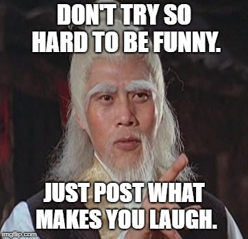 Wise Kung Fu Master | DON'T TRY SO HARD TO BE FUNNY. JUST POST WHAT MAKES YOU LAUGH. | image tagged in wise kung fu master | made w/ Imgflip meme maker