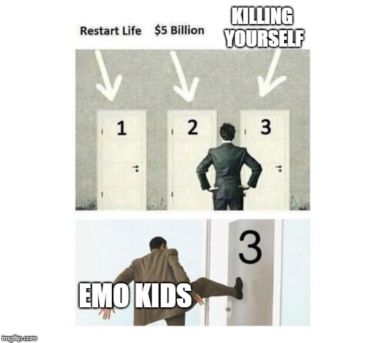 Three Doors | KILLING YOURSELF; EMO KIDS | image tagged in three doors | made w/ Imgflip meme maker