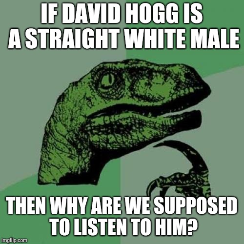 Philosoraptor | IF DAVID HOGG IS A STRAIGHT WHITE MALE; THEN WHY ARE WE SUPPOSED TO LISTEN TO HIM? | image tagged in memes,philosoraptor | made w/ Imgflip meme maker