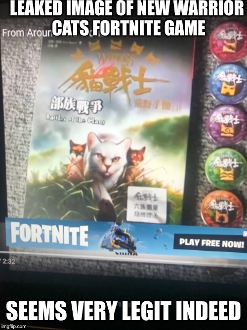We warriors fans wish. | LEAKED IMAGE OF NEW WARRIOR CATS FORTNITE GAME; SEEMS VERY LEGIT INDEED | image tagged in memes | made w/ Imgflip meme maker