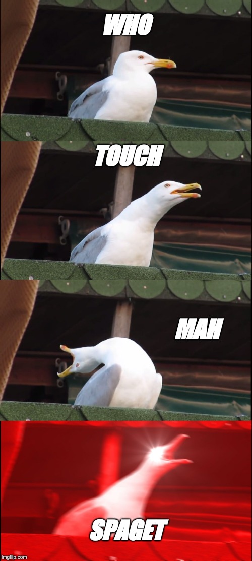 Inhaling Seagull | WHO; TOUCH; MAH; SPAGET | image tagged in memes,inhaling seagull | made w/ Imgflip meme maker