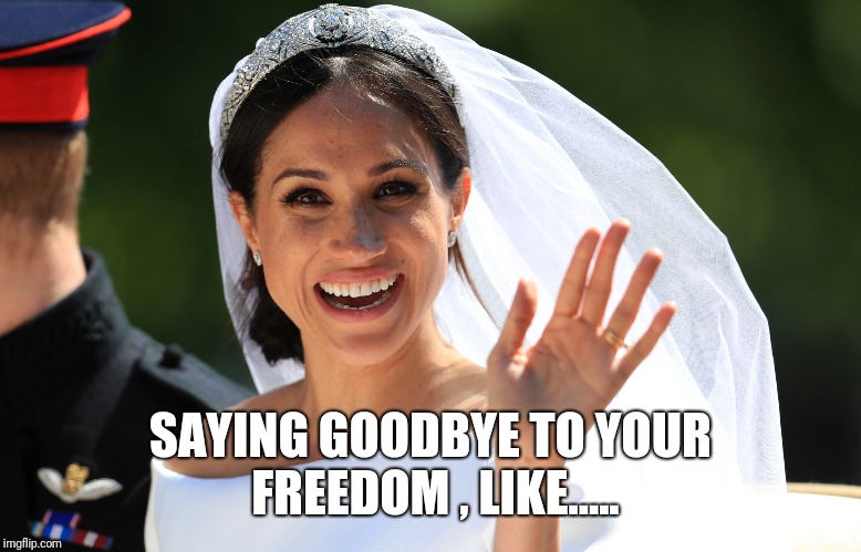 SAYING GOODBYE TO YOUR FREEDOM , LIKE..... | image tagged in disappearing freedom | made w/ Imgflip meme maker