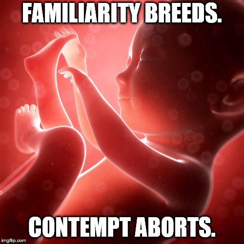 Baby Fetus | FAMILIARITY BREEDS. CONTEMPT ABORTS. | image tagged in baby fetus | made w/ Imgflip meme maker