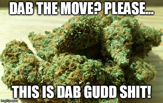 Do dab gudd stuff, not dab the move | DAB THE MOVE? PLEASE... THIS IS DAB GUDD SHIT! | image tagged in bigbuds | made w/ Imgflip meme maker