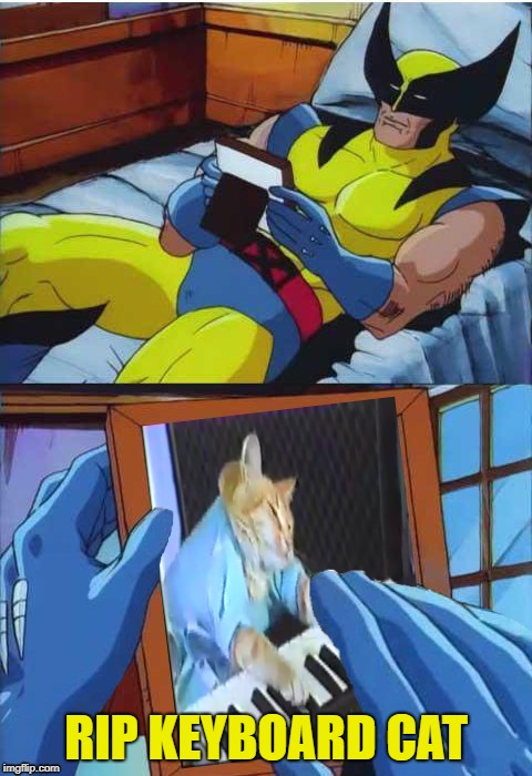 Wolverine Remembers | RIP KEYBOARD CAT | image tagged in funny memes,wolverine remeber,keyboard cat | made w/ Imgflip meme maker