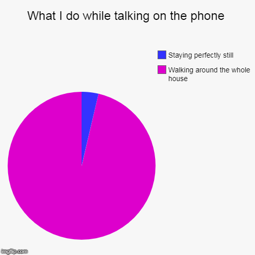 What I do while talking on the phone | Walking around the whole house, Staying perfectly still | image tagged in funny,pie charts | made w/ Imgflip chart maker