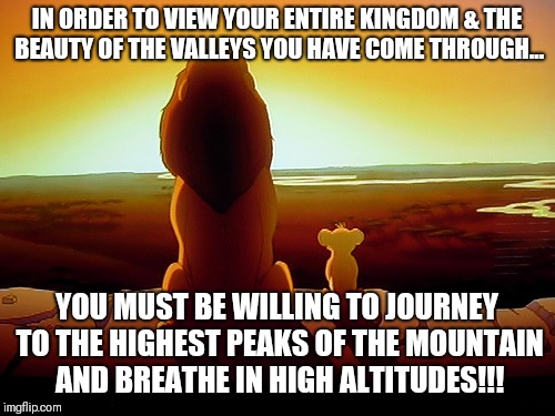 Lion King Meme | IN ORDER TO VIEW YOUR ENTIRE KINGDOM & THE BEAUTY OF THE VALLEYS YOU HAVE COME THROUGH... YOU MUST BE WILLING TO JOURNEY TO THE HIGHEST PEAKS OF THE MOUNTAIN AND BREATHE IN HIGH ALTITUDES!!! | image tagged in memes,lion king | made w/ Imgflip meme maker