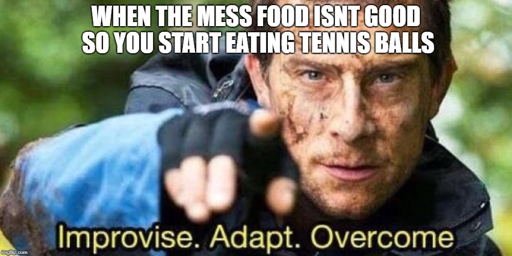 Improvise. Adapt. Overcome | WHEN THE MESS FOOD ISNT GOOD SO YOU START EATING TENNIS BALLS | image tagged in improvise adapt overcome | made w/ Imgflip meme maker