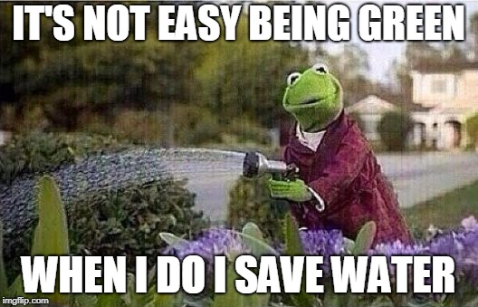 Kermit Watering Plants | IT'S NOT EASY BEING GREEN; WHEN I DO I SAVE WATER | image tagged in kermit watering plants | made w/ Imgflip meme maker