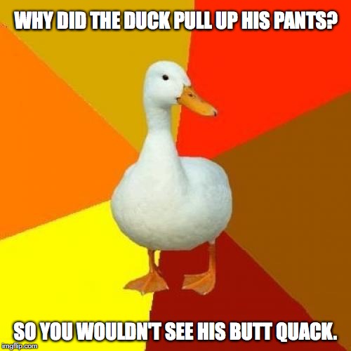 Tech Impaired Duck | WHY DID THE DUCK PULL UP HIS PANTS? SO YOU WOULDN'T SEE HIS BUTT QUACK. | image tagged in memes,tech impaired duck | made w/ Imgflip meme maker