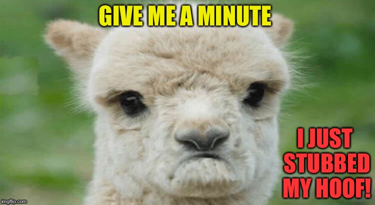 GIVE ME A MINUTE I JUST STUBBED MY HOOF! | made w/ Imgflip meme maker