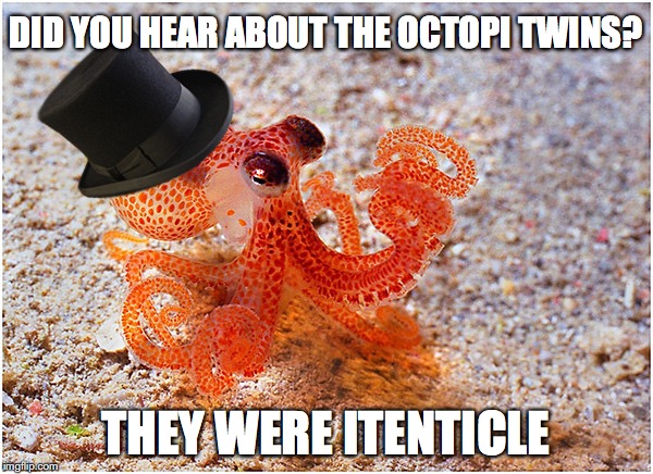Sir octopus | DID YOU HEAR ABOUT THE OCTOPI TWINS? THEY WERE ITENTICLE | image tagged in sir octopus,pun | made w/ Imgflip meme maker