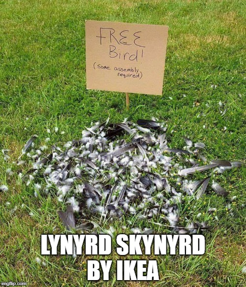 LYNYRD SKYNYRD BY IKEA | image tagged in freebird | made w/ Imgflip meme maker
