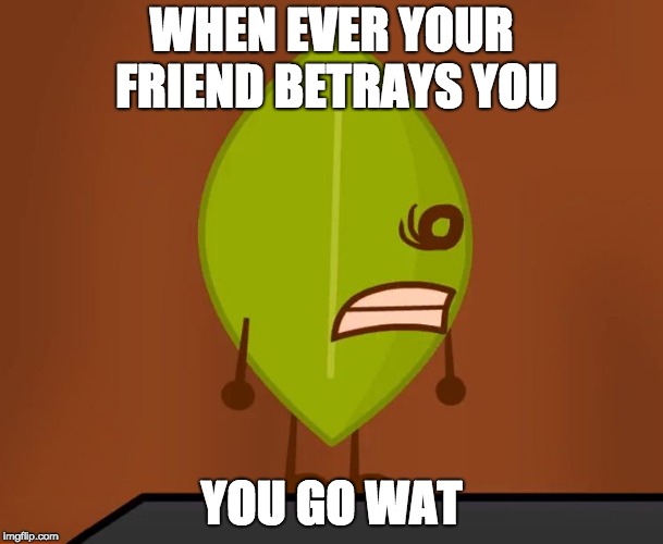 BFDI "Wat" Face | WHEN EVER YOUR FRIEND BETRAYS YOU; YOU GO WAT | image tagged in bfdi wat face | made w/ Imgflip meme maker