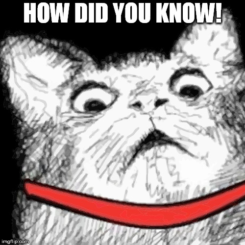 HOW DID YOU KNOW! | image tagged in huh | made w/ Imgflip meme maker