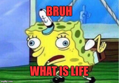 Mocking Spongebob | BRUH; WHAT IS LIFE | image tagged in memes,mocking spongebob | made w/ Imgflip meme maker
