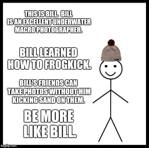 Be Like Bill Meme | THIS IS BILL.  BILL IS AN EXCELLENT UNDERWATER MACRO PHOTOGRAPHER. BILL LEARNED HOW TO FROGKICK. BILL'S FRIENDS CAN TAKE PHOTOS WITHOUT HIM KICKING SAND ON THEM. BE MORE LIKE BILL. | image tagged in memes,be like bill | made w/ Imgflip meme maker