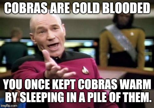 Picard Wtf Meme | COBRAS ARE COLD BLOODED YOU ONCE KEPT COBRAS WARM BY SLEEPING IN A PILE OF THEM. | image tagged in memes,picard wtf | made w/ Imgflip meme maker