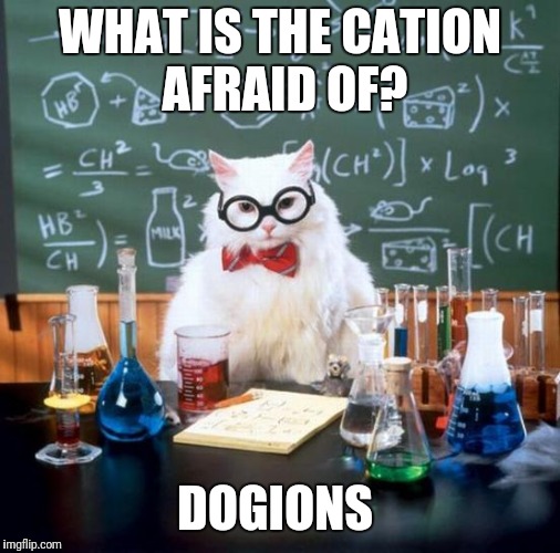 Chemistry Cat Meme | WHAT IS THE CATION AFRAID OF? DOGIONS | image tagged in memes,chemistry cat | made w/ Imgflip meme maker