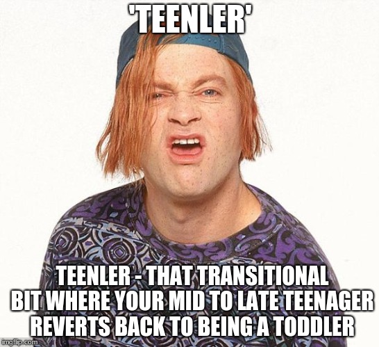 Kevin the teenager | 'TEENLER'; TEENLER - THAT TRANSITIONAL BIT WHERE YOUR MID TO LATE TEENAGER REVERTS BACK TO BEING A TODDLER | image tagged in kevin the teenager | made w/ Imgflip meme maker