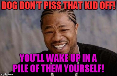 Yo Dawg Heard You Meme | DOG DON'T PISS THAT KID OFF! YOU'LL WAKE UP IN A PILE OF THEM YOURSELF! | image tagged in memes,yo dawg heard you | made w/ Imgflip meme maker