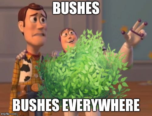 bush lightyear | BUSHES; BUSHES EVERYWHERE | image tagged in buzz and woody | made w/ Imgflip meme maker