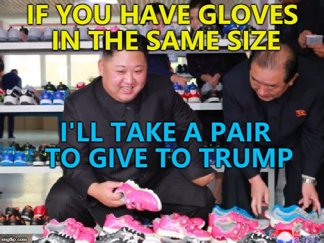 I'm sure it would go down well... :) | IF YOU HAVE GLOVES IN THE SAME SIZE; I'LL TAKE A PAIR TO GIVE TO TRUMP | image tagged in fearless great leader shoes,memes,kim jong un,north korea,donald trump,north korea summit | made w/ Imgflip meme maker