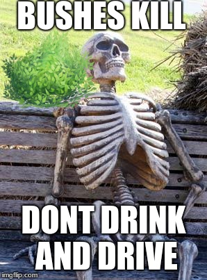 Waiting Skeleton Meme | BUSHES KILL; DONT DRINK AND DRIVE | image tagged in memes,waiting skeleton | made w/ Imgflip meme maker