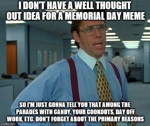 That Would Be Great Meme | I DON'T HAVE A WELL THOUGHT OUT IDEA FOR A MEMORIAL DAY MEME; SO I'M JUST GONNA TELL YOU THAT AMONG THE PARADES WITH CANDY, YOUR COOKOUTS, DAY OFF WORK, ETC. DON'T FORGET ABOUT THE PRIMARY REASONS | image tagged in memes,that would be great,memorial day | made w/ Imgflip meme maker