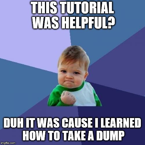 Success Kid Meme | THIS TUTORIAL WAS HELPFUL? DUH IT WAS CAUSE I LEARNED HOW TO TAKE A DUMP | image tagged in memes,success kid | made w/ Imgflip meme maker
