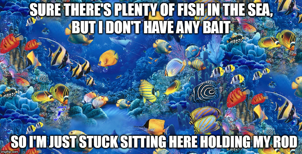 And it's getting worn out | SURE THERE'S PLENTY OF FISH IN THE SEA, BUT I DON'T HAVE ANY BAIT; SO I'M JUST STUCK SITTING HERE HOLDING MY ROD | image tagged in memes,fish in the sea | made w/ Imgflip meme maker