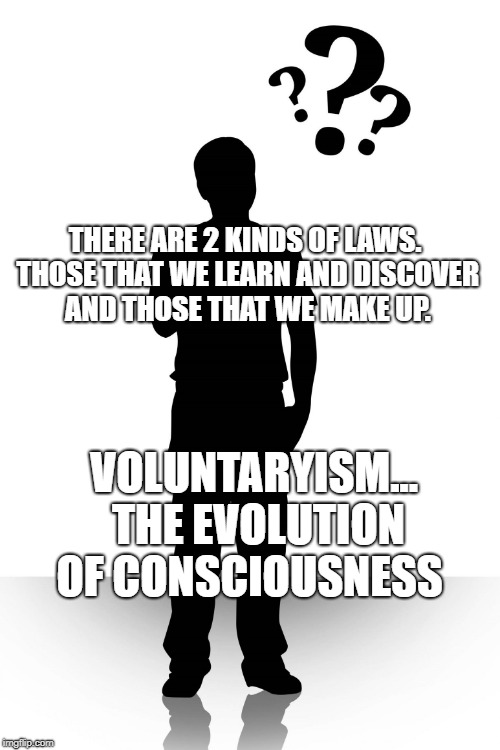 Learning life | THERE ARE 2 KINDS OF LAWS. THOSE THAT WE LEARN AND DISCOVER AND THOSE THAT WE MAKE UP. VOLUNTARYISM... THE EVOLUTION OF CONSCIOUSNESS | image tagged in learning life | made w/ Imgflip meme maker