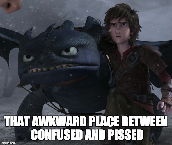 THAT AWKWARD PLACE BETWEEN CONFUSED AND PISSED | image tagged in how to train your dragon,toothless,hiccup | made w/ Imgflip meme maker