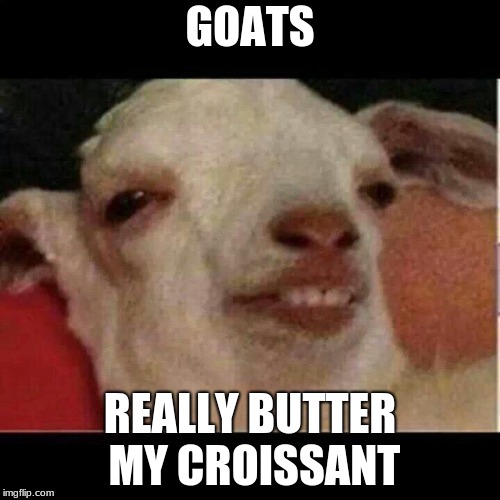 Drunk goat | GOATS; REALLY BUTTER MY CROISSANT | image tagged in drunk goat | made w/ Imgflip meme maker
