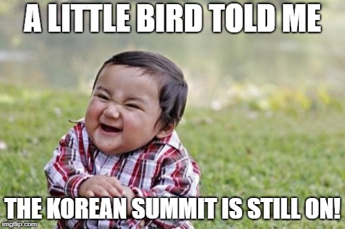 Evil Toddler | A LITTLE BIRD TOLD ME; THE KOREAN SUMMIT IS STILL ON! | image tagged in memes,evil toddler | made w/ Imgflip meme maker