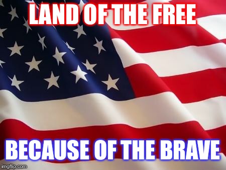 American flag | LAND OF THE FREE; BECAUSE OF THE BRAVE | image tagged in american flag | made w/ Imgflip meme maker