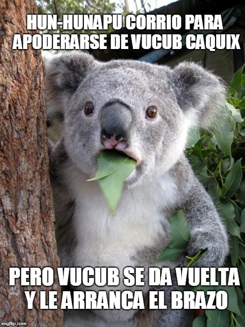 Surprised Koala | HUN-HUNAPU CORRIO PARA APODERARSE DE VUCUB CAQUIX; PERO VUCUB SE DA VUELTA Y LE ARRANCA EL BRAZO | image tagged in memes,surprised koala | made w/ Imgflip meme maker