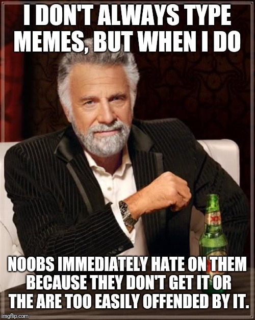 The Most Interesting Man In The World Meme | I DON'T ALWAYS TYPE MEMES, BUT WHEN I DO; NOOBS IMMEDIATELY HATE ON THEM BECAUSE THEY DON'T GET IT OR THE ARE TOO EASILY OFFENDED BY IT. | image tagged in memes,the most interesting man in the world | made w/ Imgflip meme maker