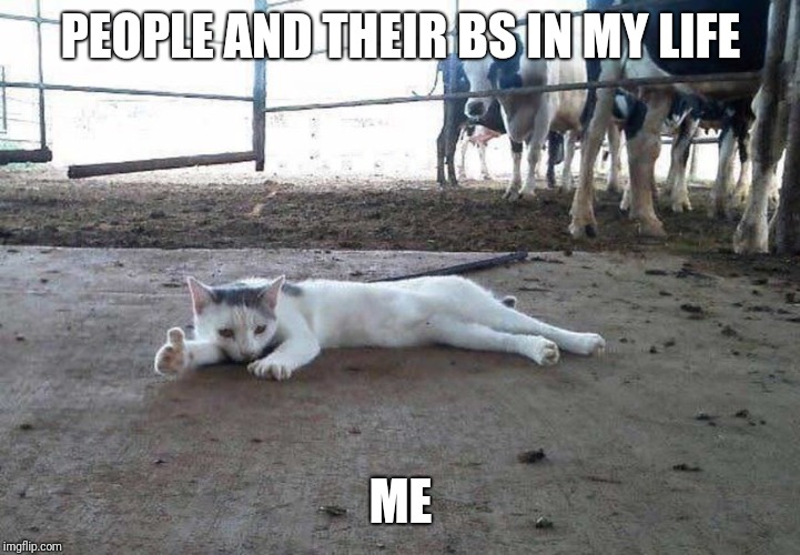 PEOPLE AND THEIR BS IN MY LIFE; ME | image tagged in my life | made w/ Imgflip meme maker