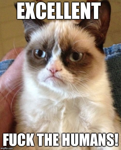 Grumpy Cat Meme | EXCELLENT F**K THE HUMANS! | image tagged in memes,grumpy cat | made w/ Imgflip meme maker