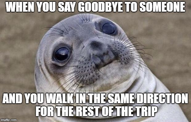 Awkward Moment Sealion | WHEN YOU SAY GOODBYE TO SOMEONE; AND YOU WALK IN THE SAME DIRECTION FOR THE REST OF THE TRIP | image tagged in memes,awkward moment sealion | made w/ Imgflip meme maker