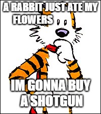 quick thinking hobbes | A RABBIT JUST ATE MY FLOWERS; IM GONNA BUY A SHOTGUN | image tagged in quick thinking hobbes,funny,stupid | made w/ Imgflip meme maker