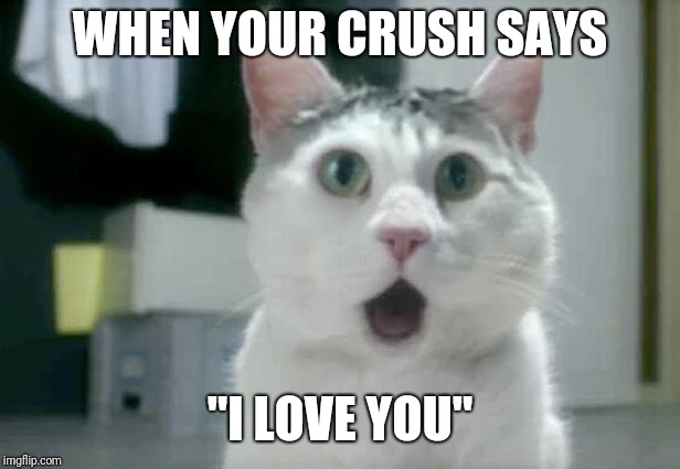 OMG Cat Meme | WHEN YOUR CRUSH SAYS; "I LOVE YOU" | image tagged in memes,omg cat | made w/ Imgflip meme maker